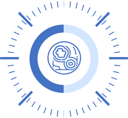 Топографія та ситуаційна обізнаність